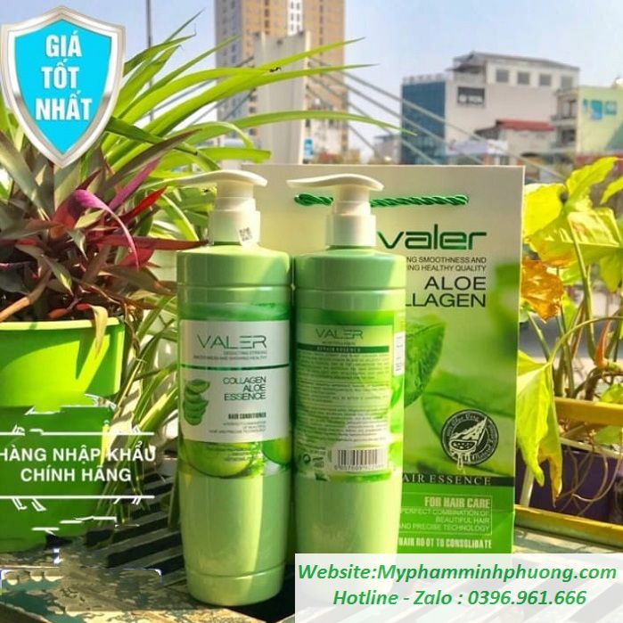 Cap-dau-goi-xa-tri-rung-toc-nha-dam-lo-hoi-tai-sinh-valer-collagen-aloe-essence-699X699