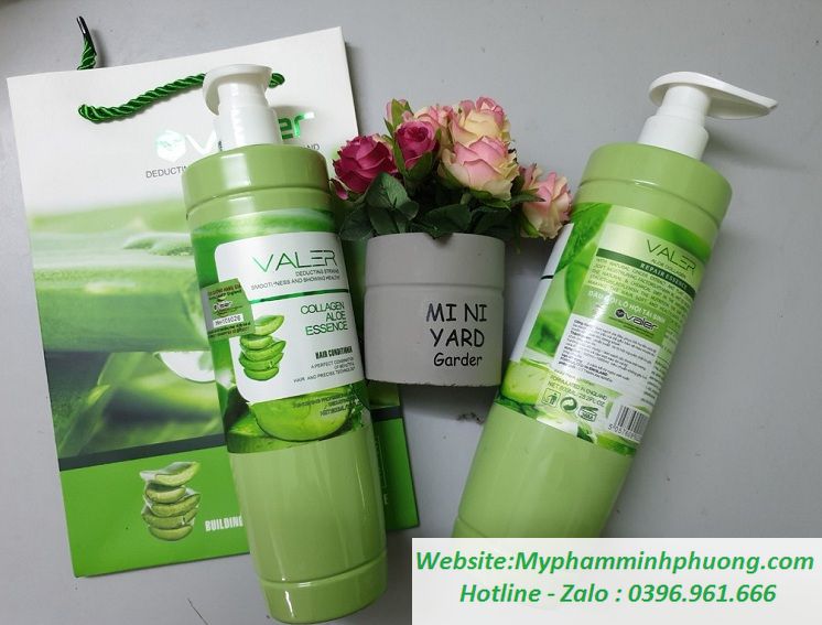 Cap-dau-goi-xa-tri-rung-toc-nha-dam-lo-hoi-tai-sinh-valer-collagen-aloe-essence-746X567