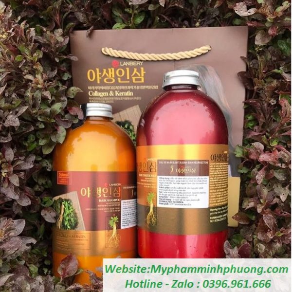 cap-dau-goi-xa-cu-gung-KERATIN-COLLAGEN-han-quoc-800ml-722x753 cap-dau-goi-xa-cu-gung-KERATIN-COLLAGEN-han-quoc-800ml-722x753