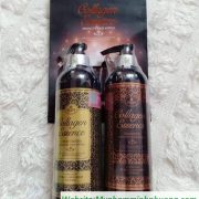 dau-goi-ngan-chong-rung-toc-phuc-hoi-hu-ton-COLLAGEN-ESSENCE-italya-800ml-713x870 dau-goi-ngan-chong-rung-toc-phuc-hoi-hu-ton-COLLAGEN-ESSENCE-italya-800ml-713x870