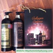 dau-goi-ngan-chong-rung-toc-phuc-hoi-hu-ton-COLLAGEN-ESSENCE-italya-800ml-720x818 dau-goi-ngan-chong-rung-toc-phuc-hoi-hu-ton-COLLAGEN-ESSENCE-italya-800ml-720x818