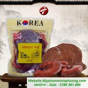 Nam-linh-chi-tai-do-6-nam-tuoi-300x300-1_result