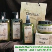 dau-goi-xa-DANGELLO-800ML-1