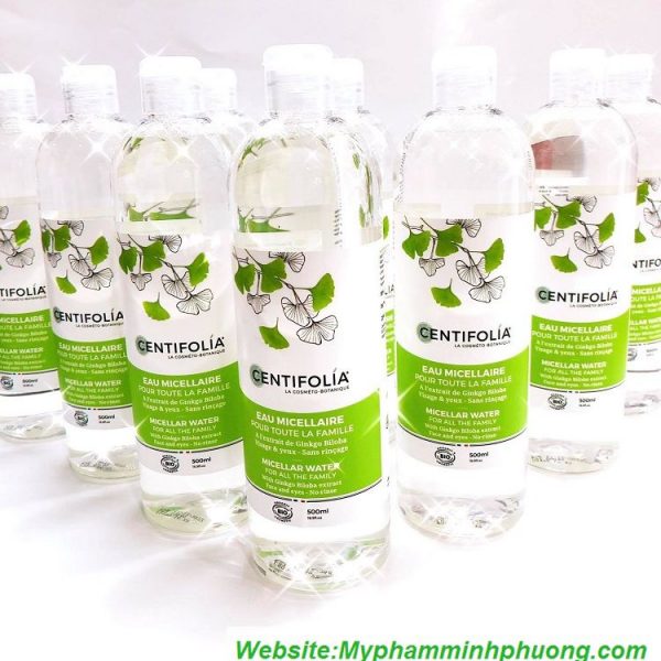 tay-trang-huu-co-centifolia-1