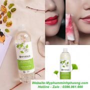 tay-trang-huu-co-centifolia-2