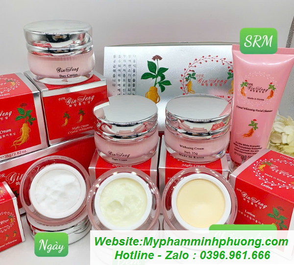 bo-dfr-ginseng-sam-han-quoc
