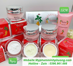 bo-dfr-ginseng-sam-han-quoc